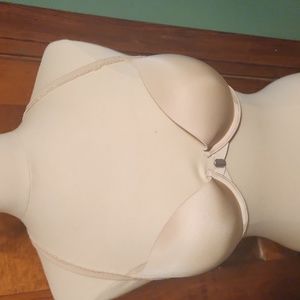 Aerie Push-Up Bra